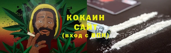 шишки Киренск