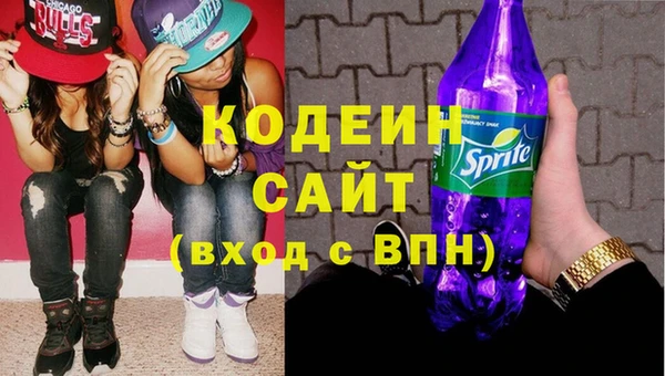 шишки Киренск