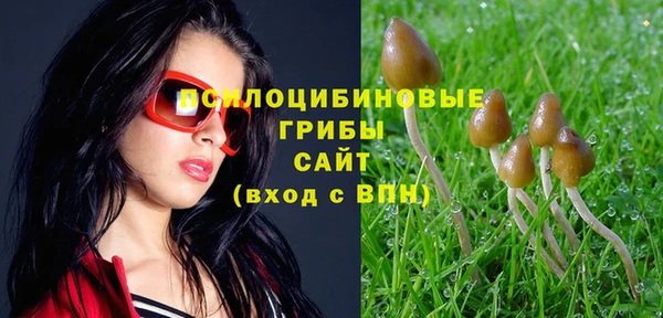 MDMA Premium VHQ Кинешма