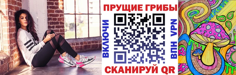 Купить закладки  Мичуринск  Галлюциногенные грибы Magic Shrooms 